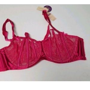 NEW 40C Seriously Sexy Collection by Cacique